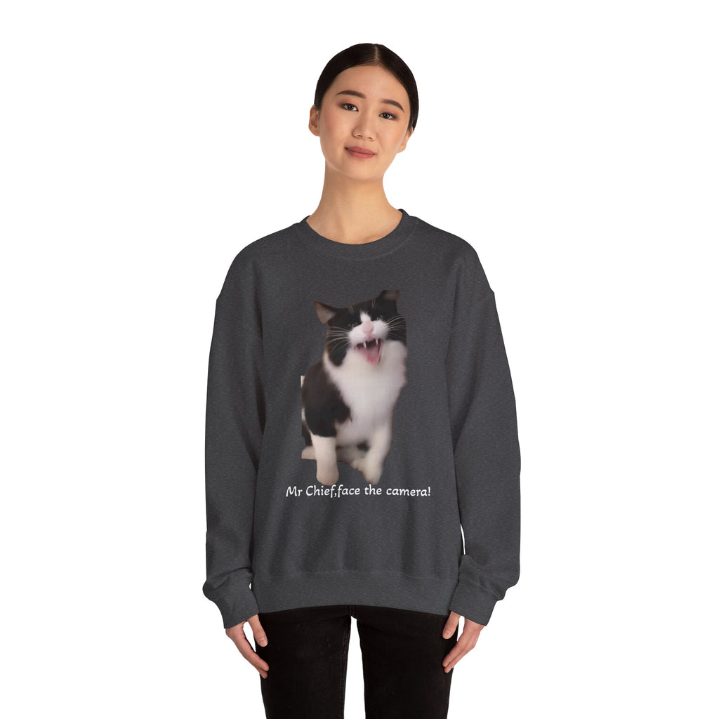 Person wearing a dark gray sweatshirt with a cat graphic and text on a white background