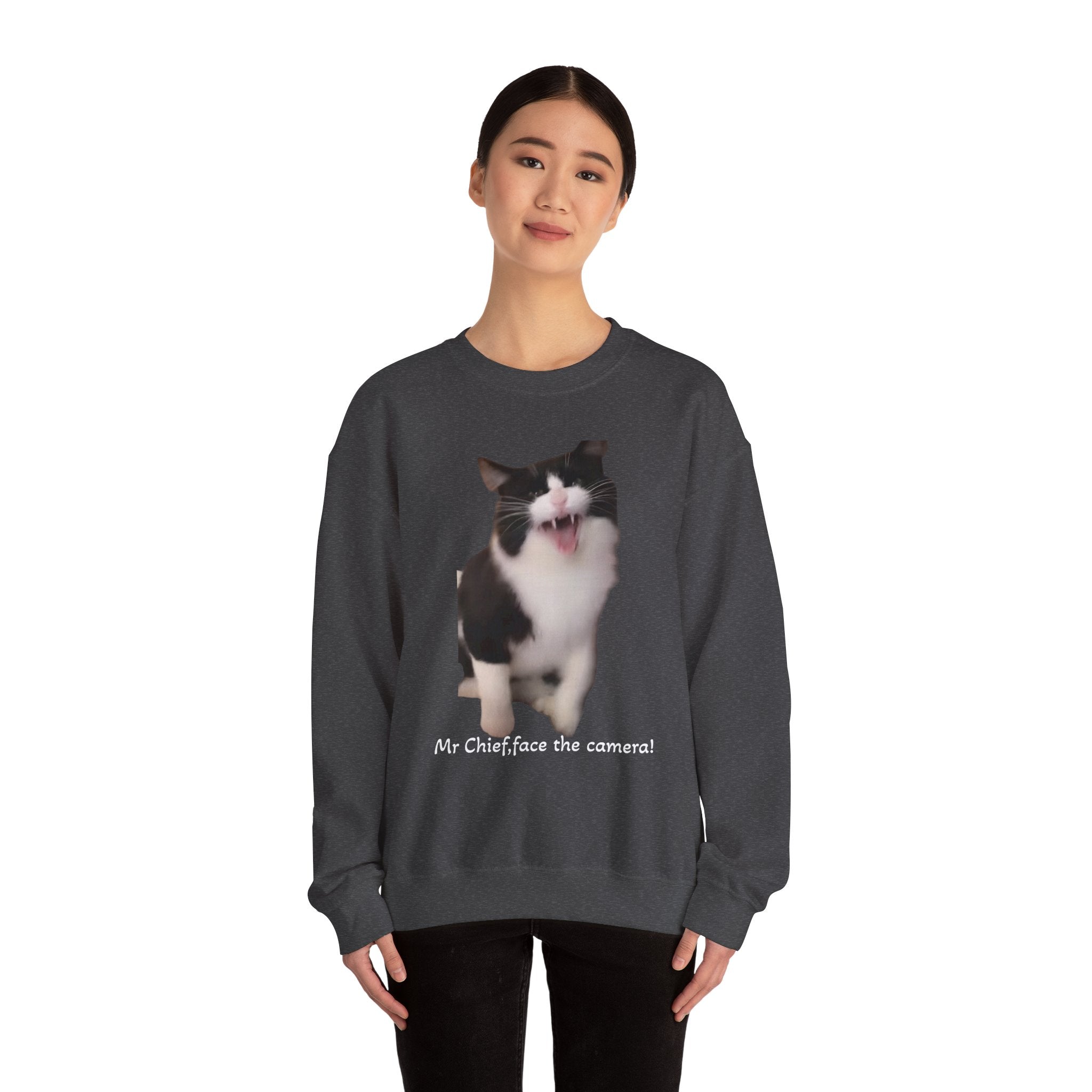 Person wearing a dark gray sweatshirt with a cat graphic and text on a white background