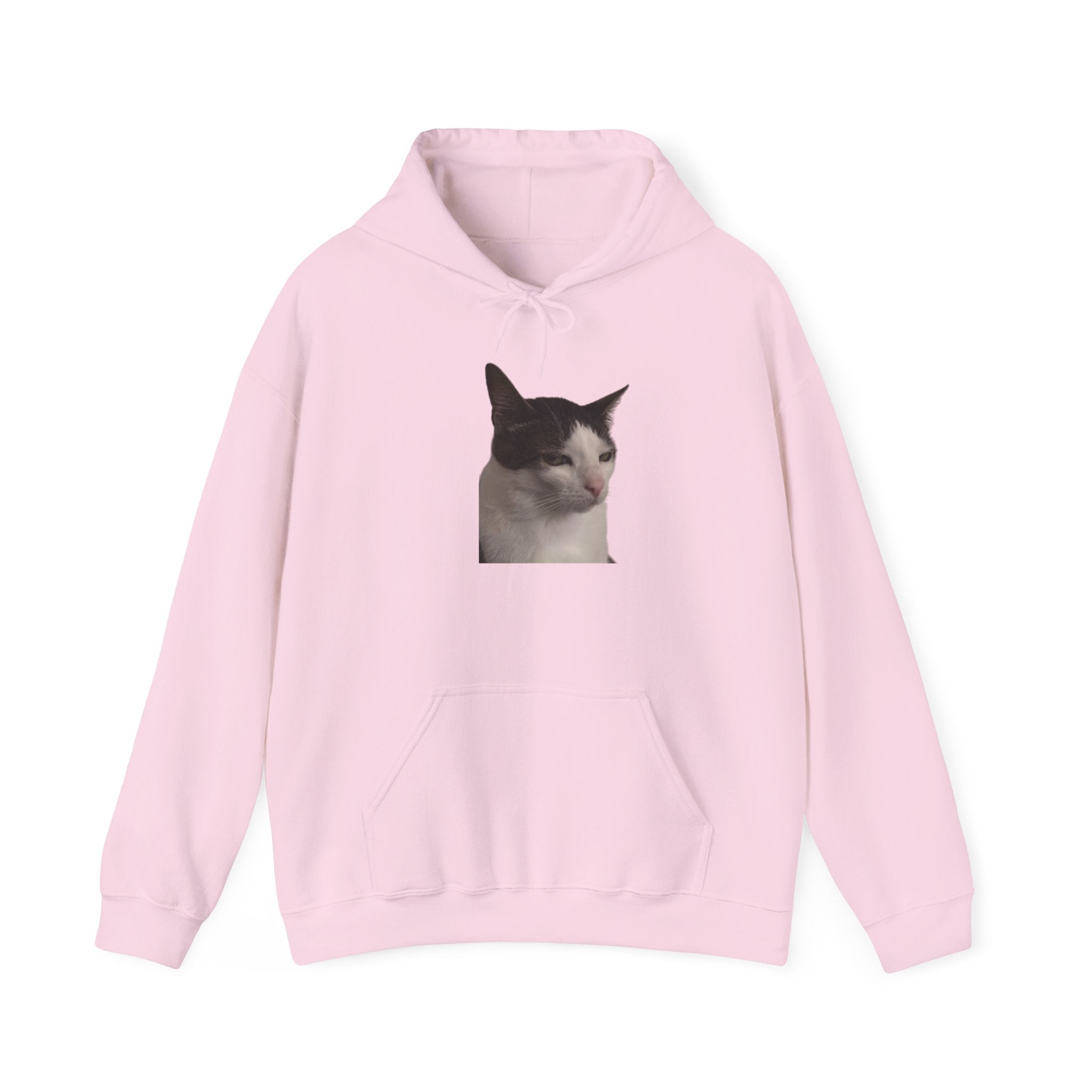 Pink hoodie with a cat graphic on a white background
