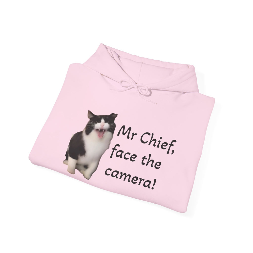 Pink hoodie with a cat graphic and text on a white background
