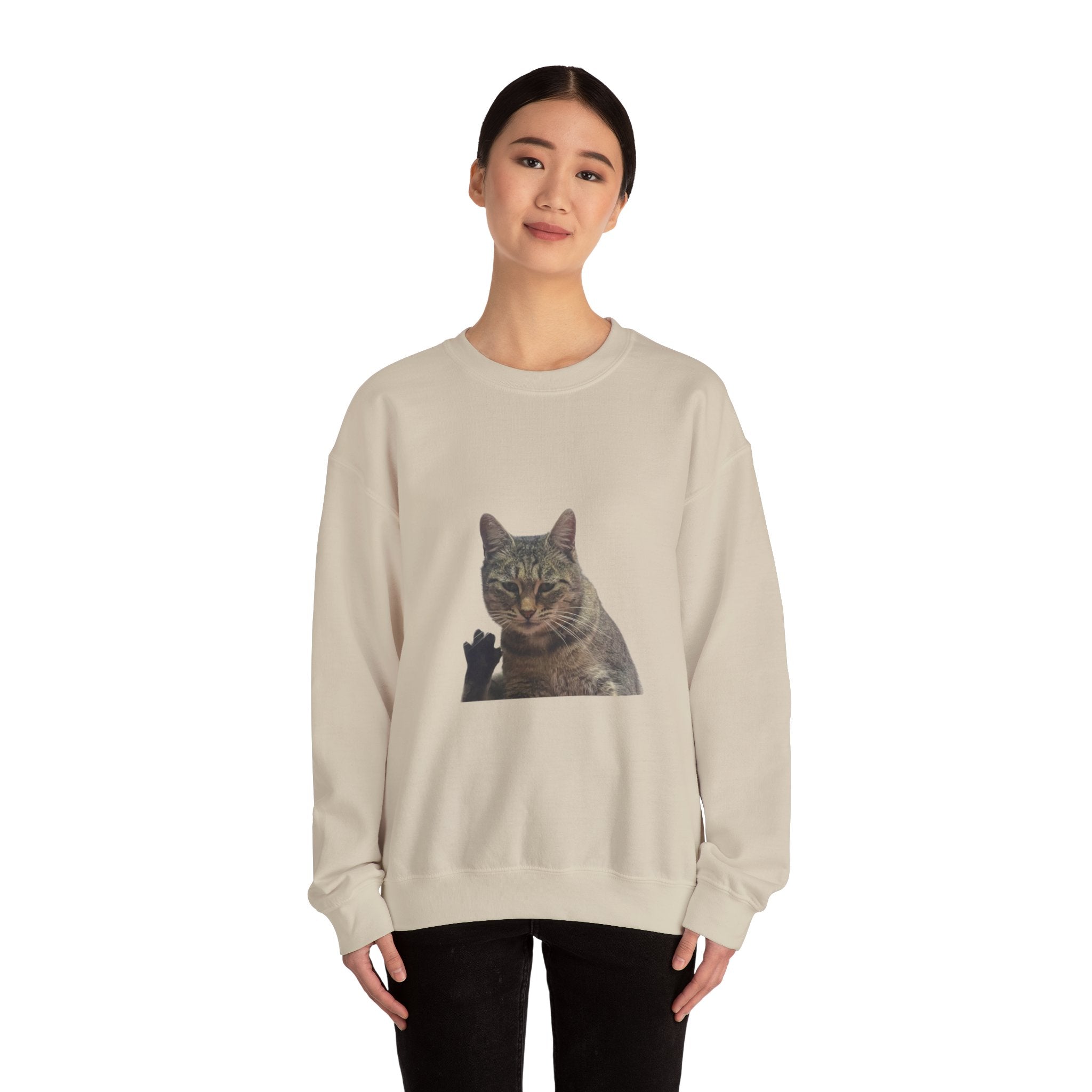 Person wearing a beige sweatshirt with a cat graphic on a white background