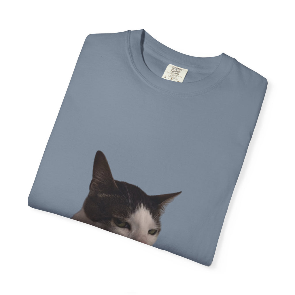 Folded blue t-shirt with a cat's face print on a white background
