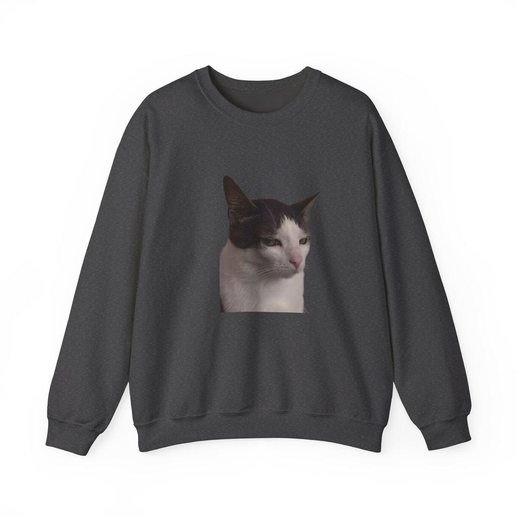 Dark gray sweatshirt with a cat's face printed on the chest against a white background