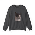 Dark gray sweatshirt with a cat's face printed on the chest against a white background