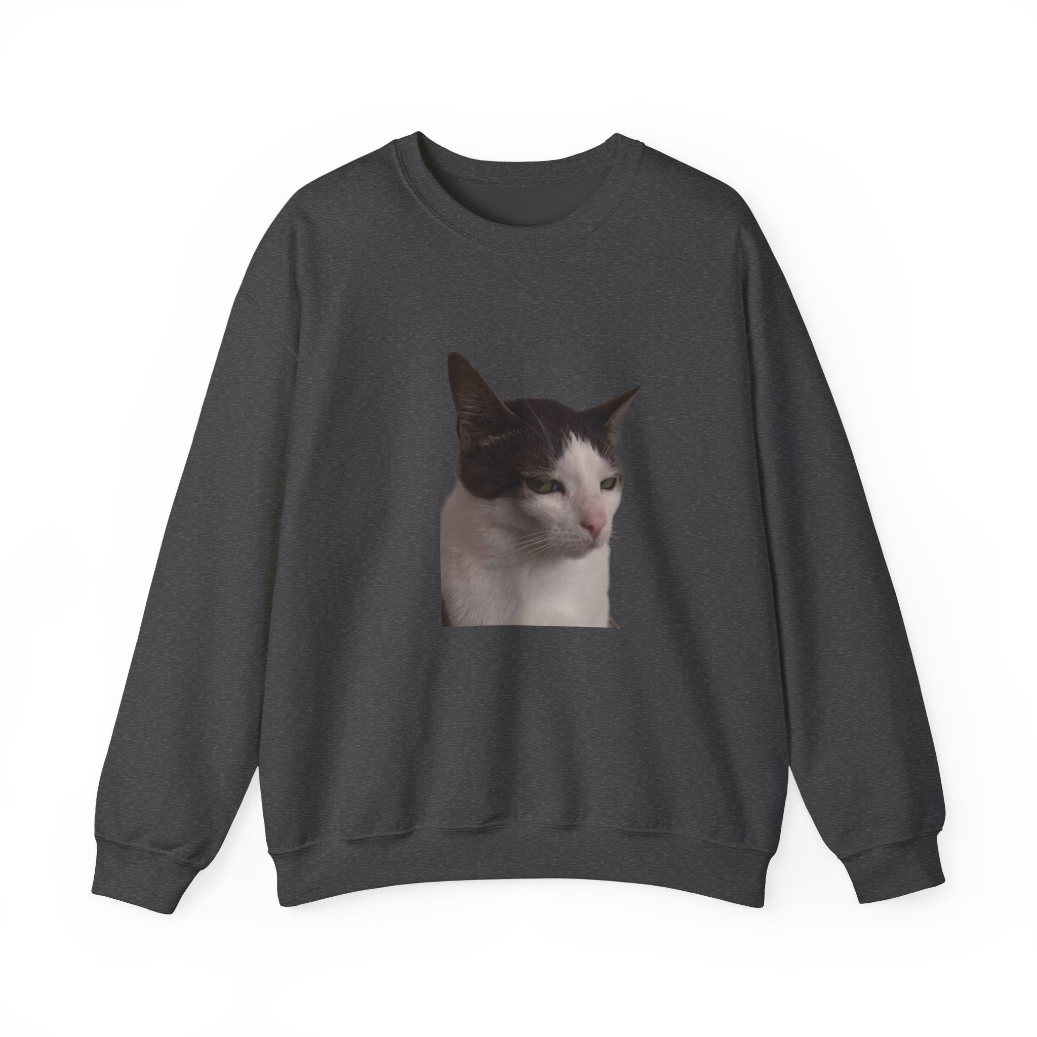 Dark gray sweatshirt with a cat's face printed on the chest against a white background