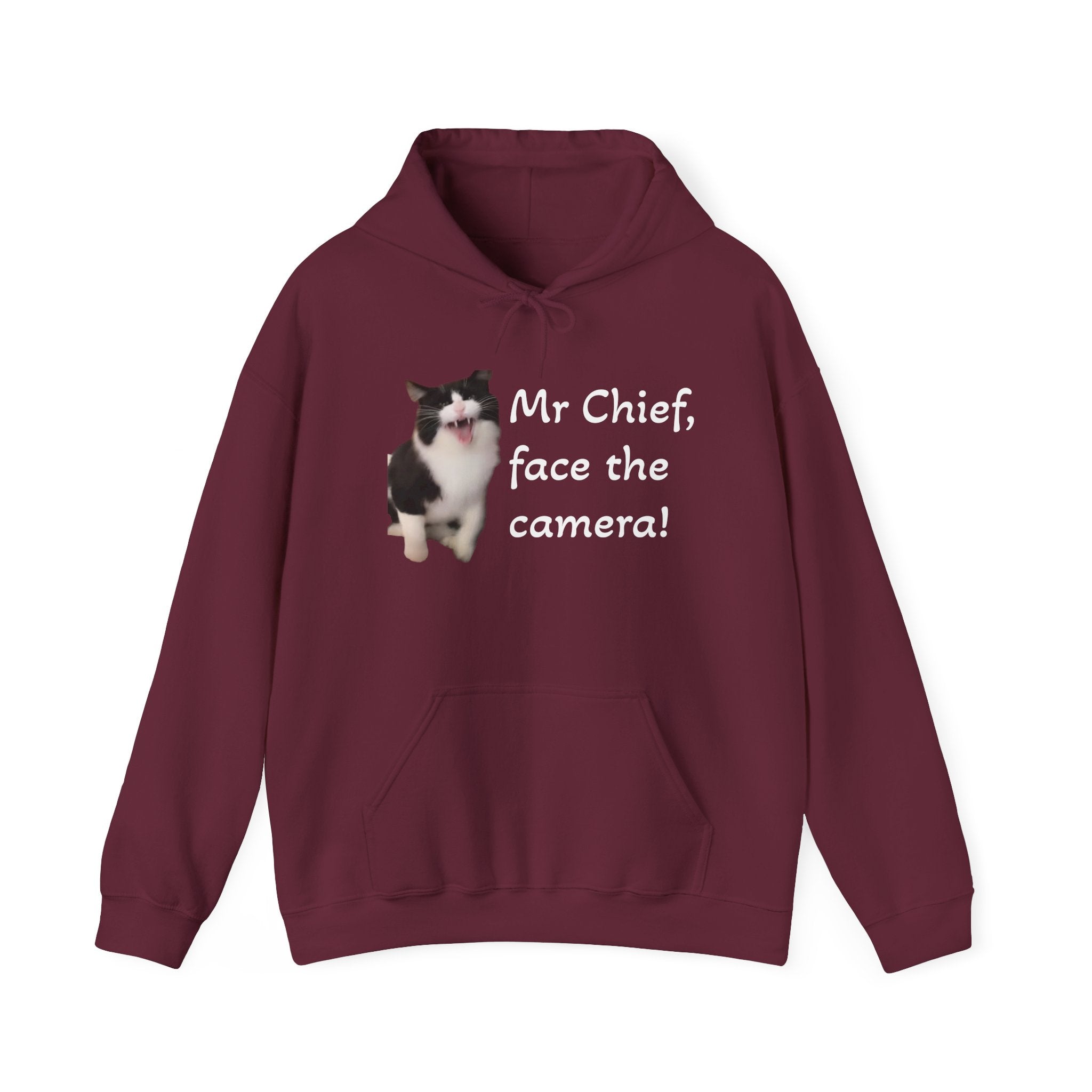 Maroon hoodie with a cat graphic and text on a white background