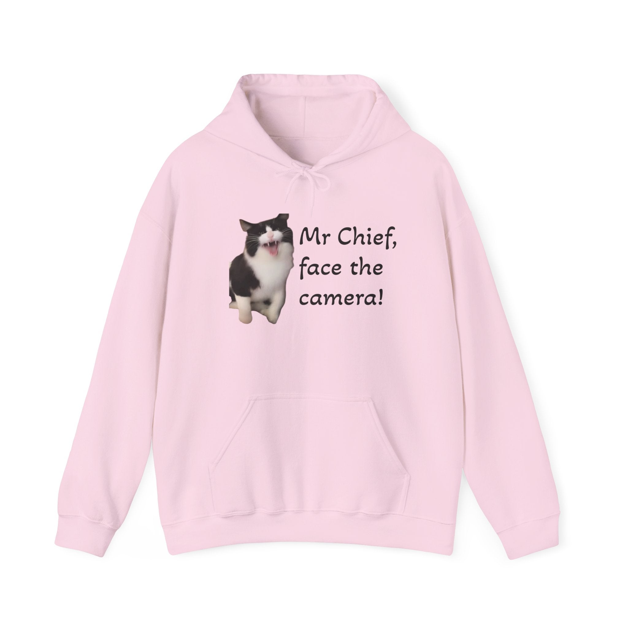 Pink hoodie with a dog graphic and text on a white background