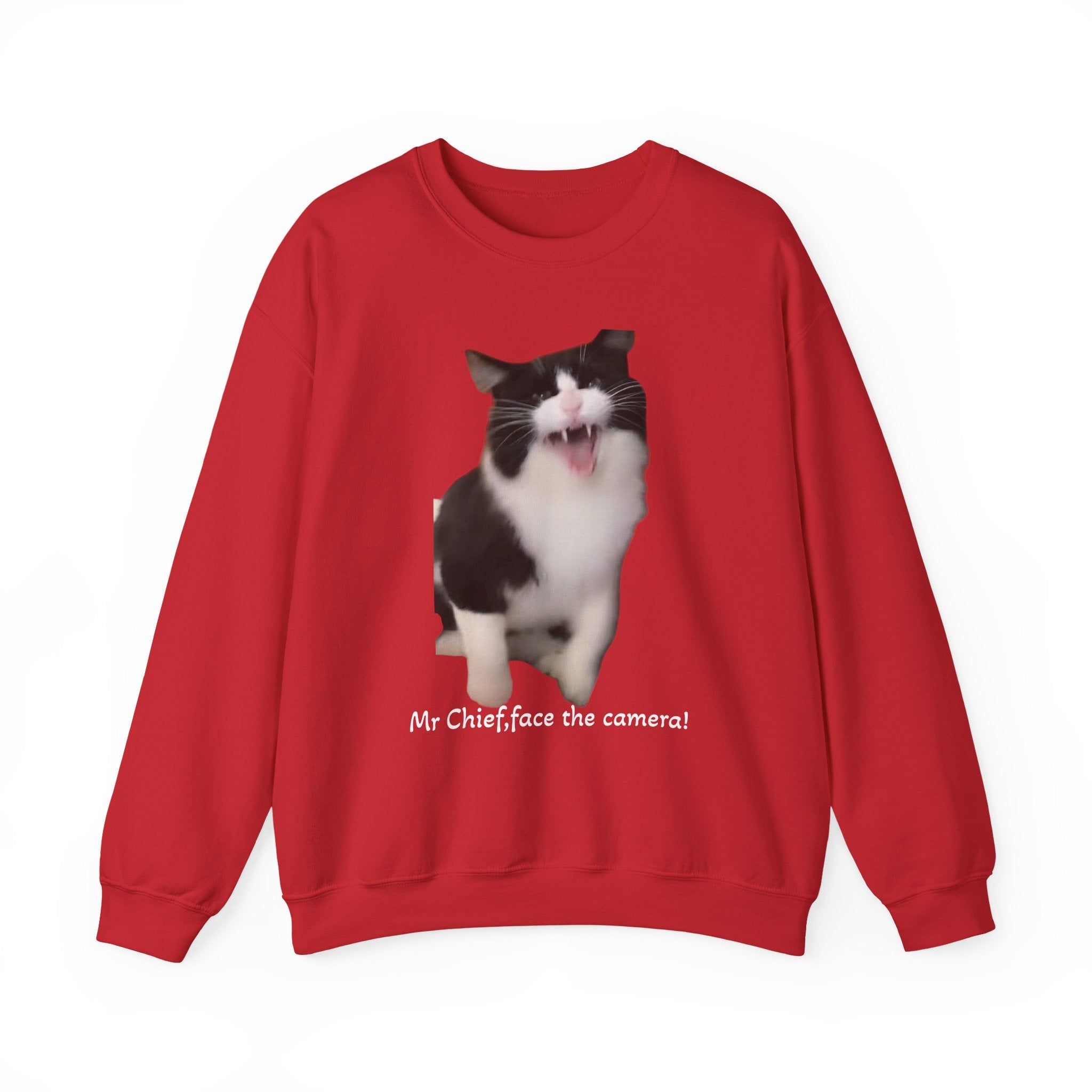 Red sweatshirt with a cat graphic and text on a white background