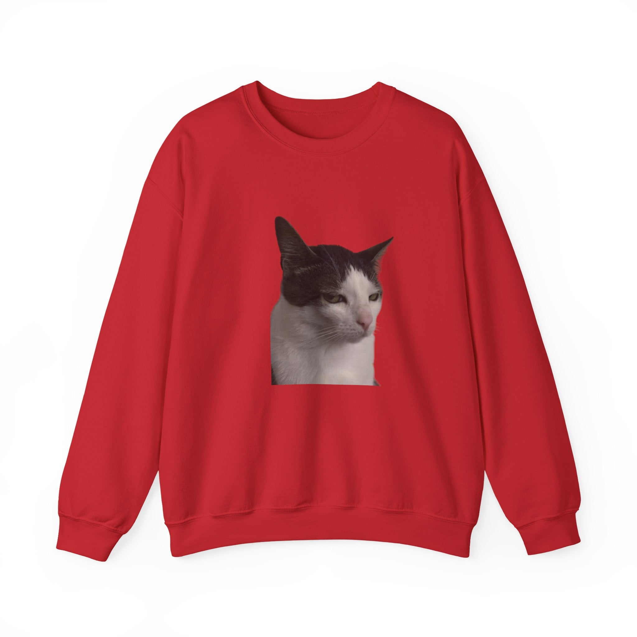 Red sweatshirt with a cat graphic on a white background