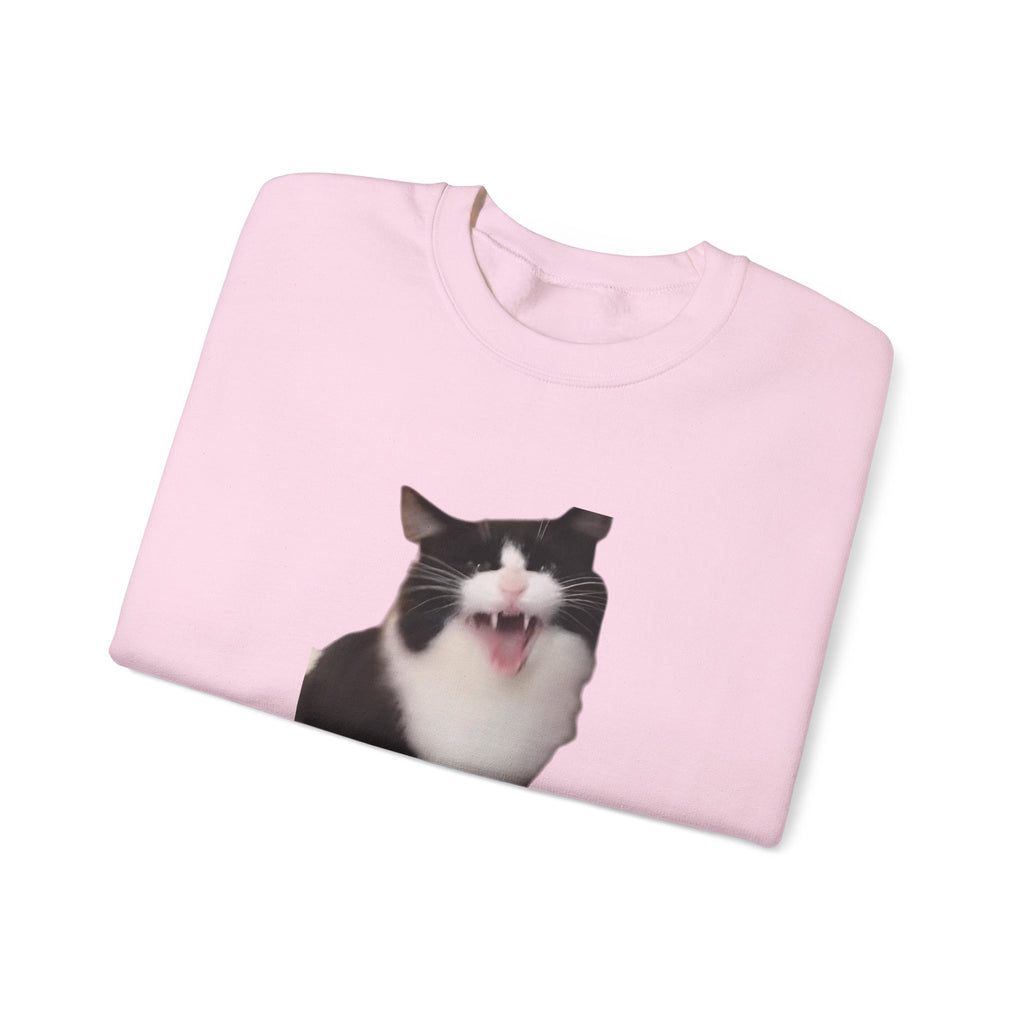 Folded pink sweatshirt with a cat graphic on a white background