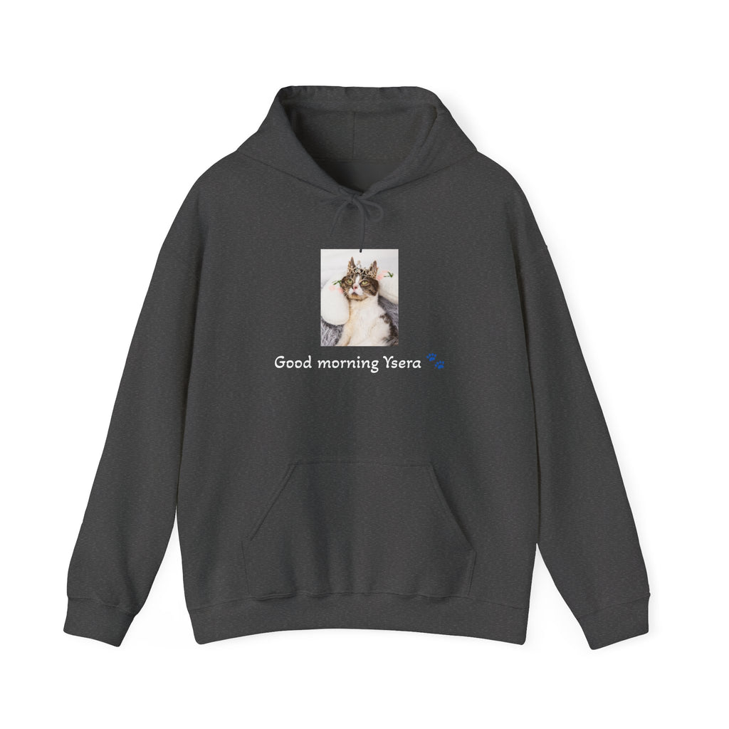 Dark gray hoodie with a cat graphic and 'Good morning Ysera' text on a white background