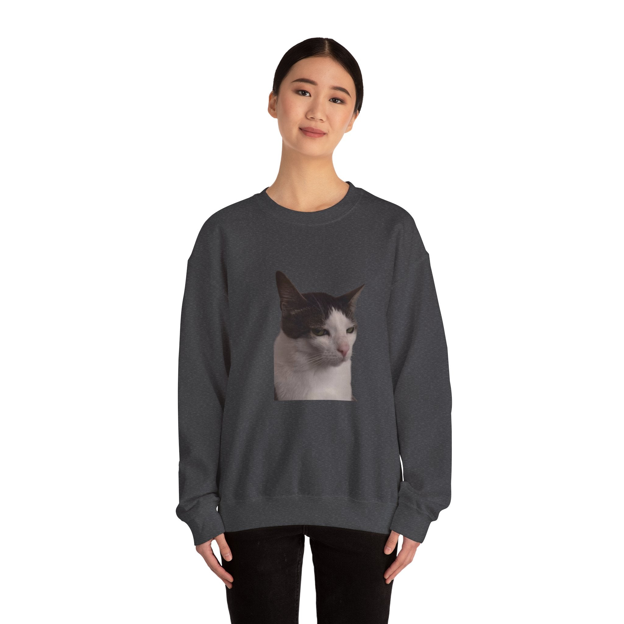 Person wearing a dark gray sweatshirt with a cat graphic on a white background