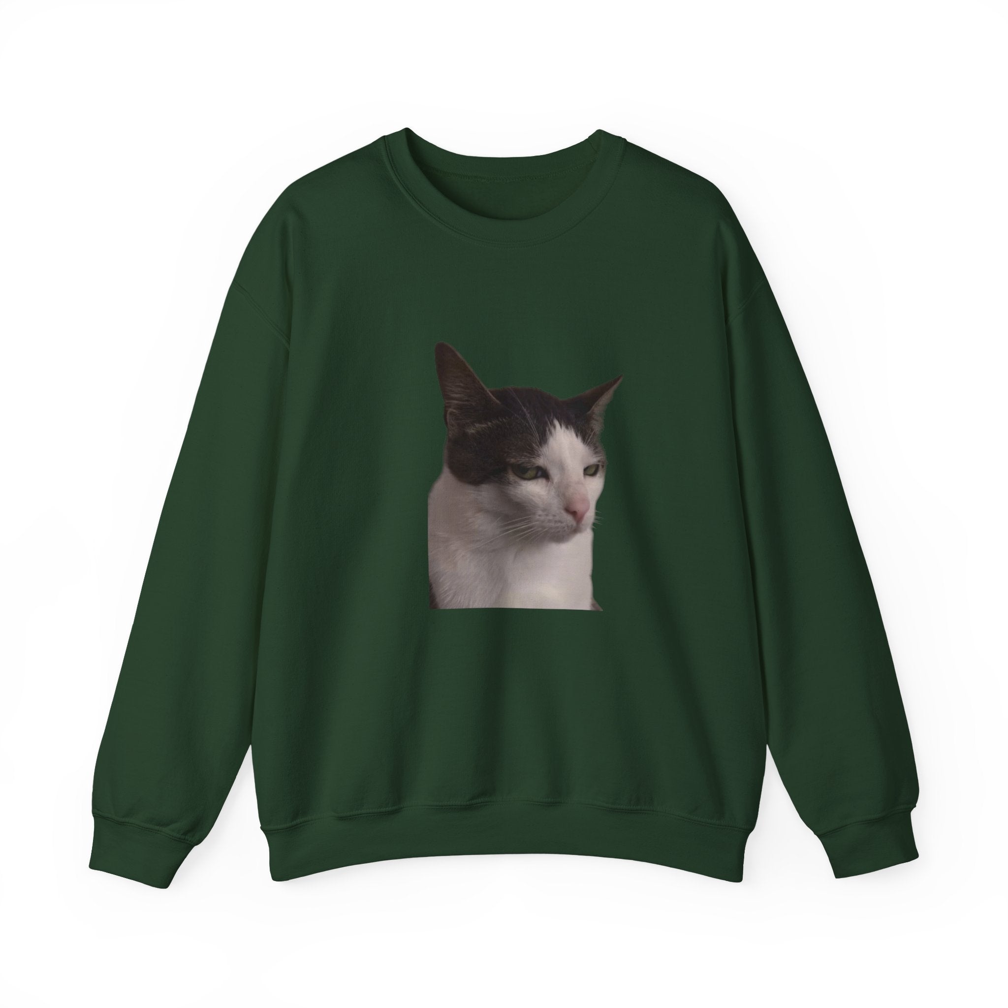 Black sweatshirt with a cat's face printed on the chest against a white background