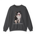 Dark gray sweatshirt with a cat graphic and text on a white background