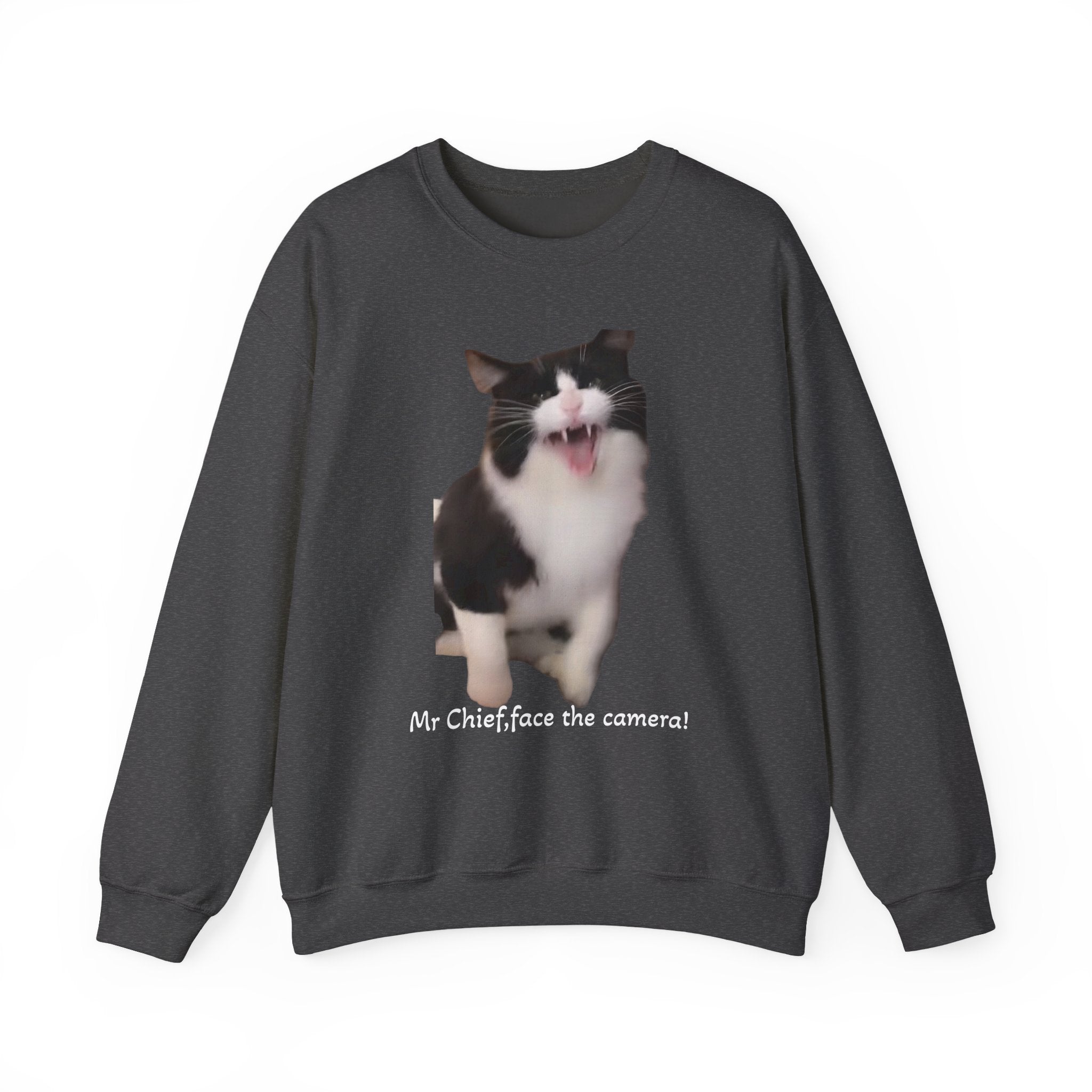 Dark gray sweatshirt with a cat graphic and text on a white background