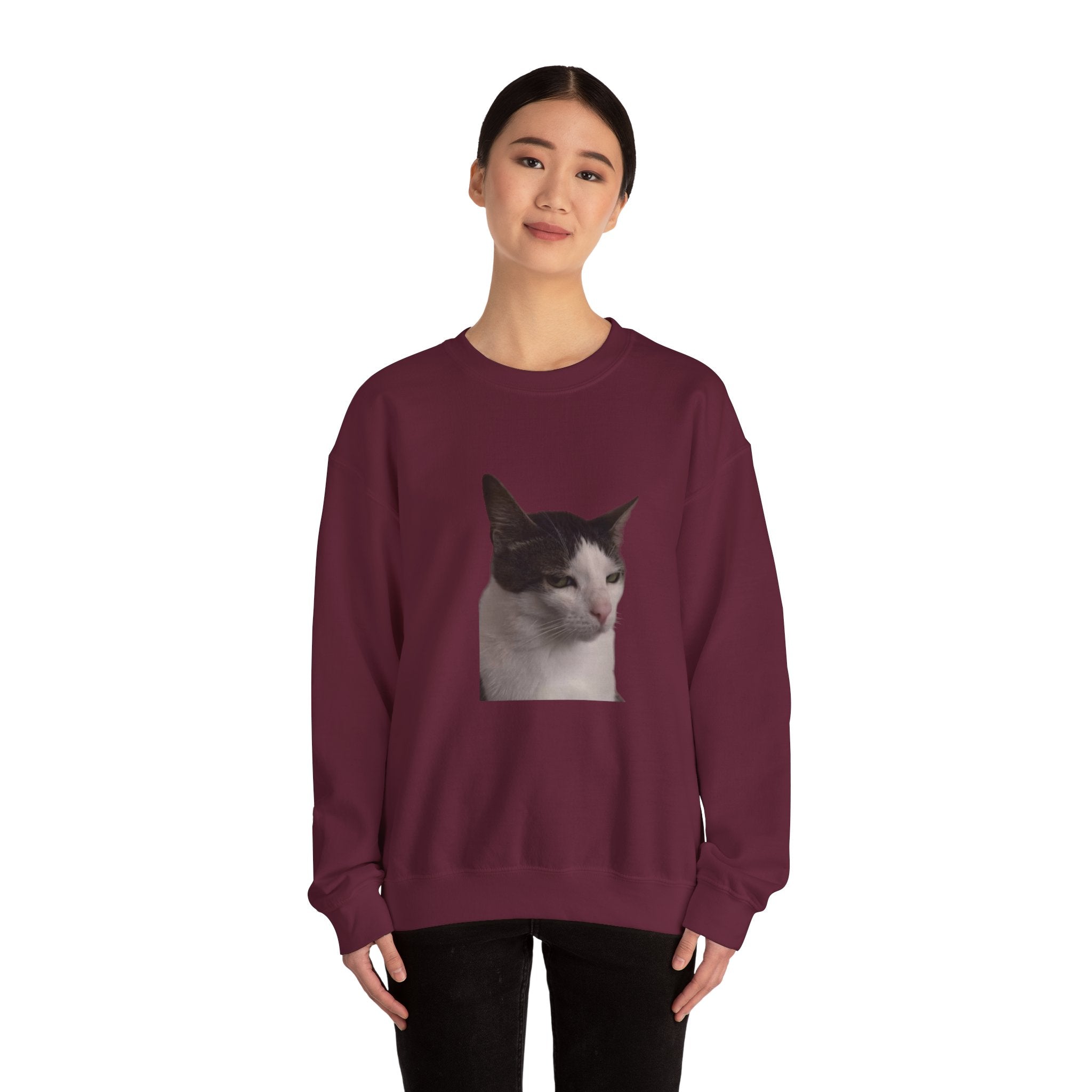 Person wearing a maroon sweatshirt with a cat print on a white background