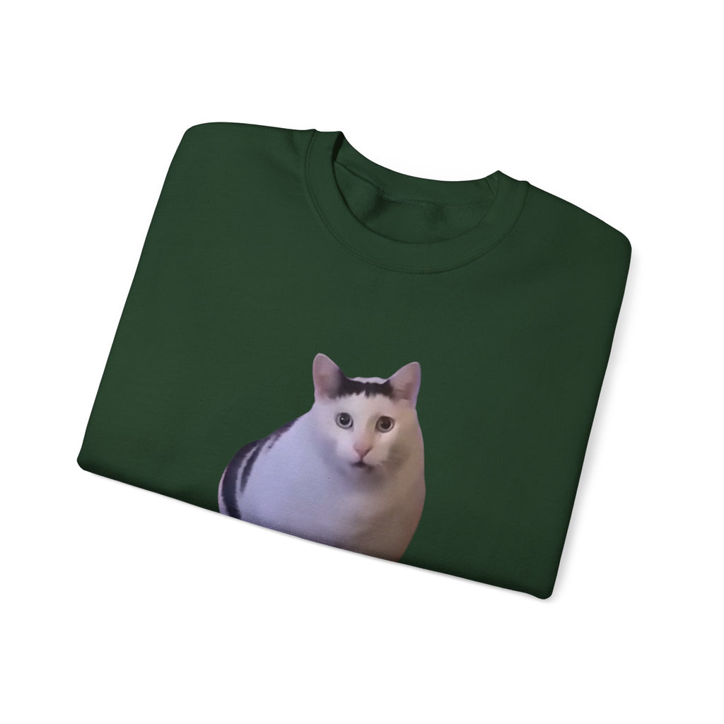 Folded green sweatshirt with a cat print on a white background