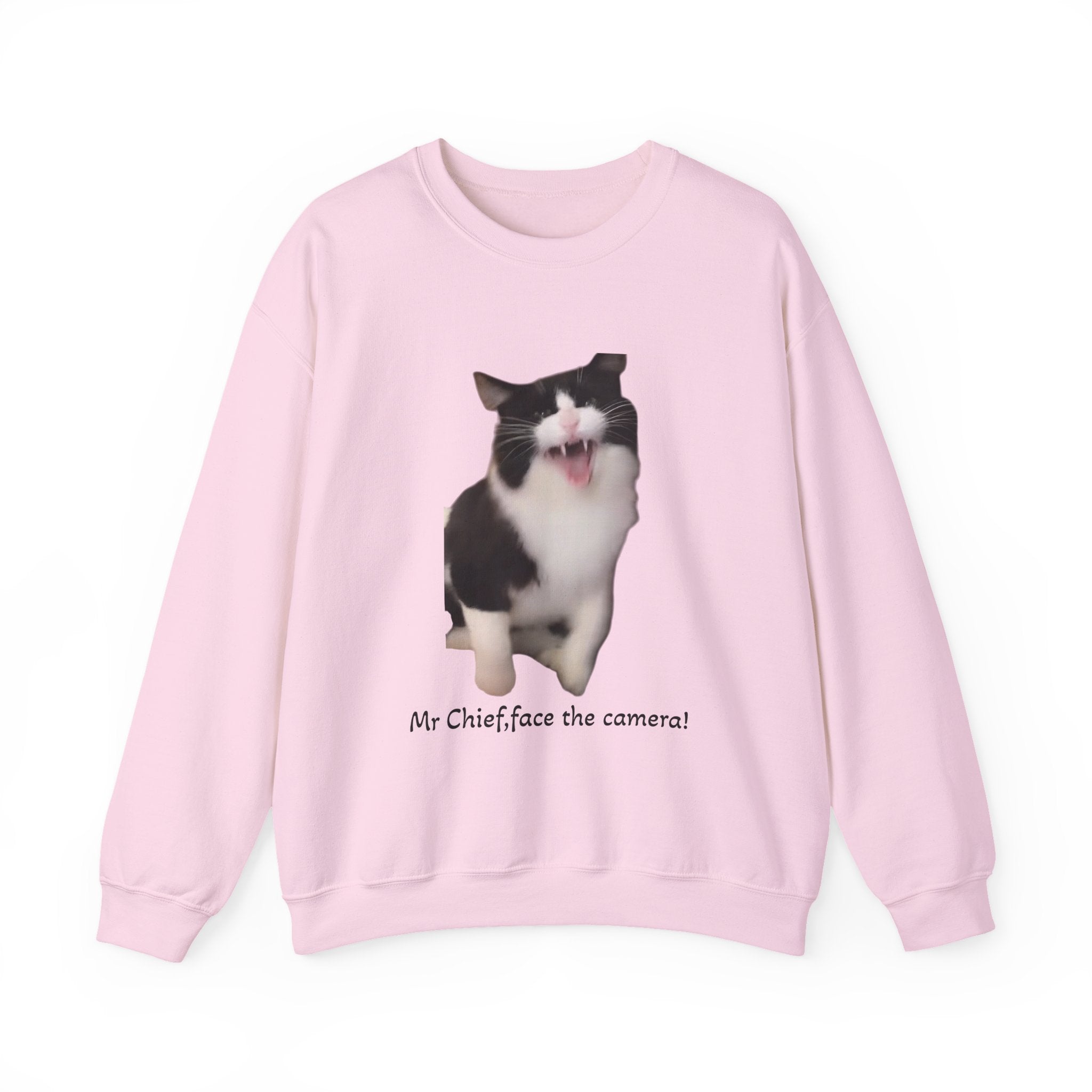 Pink sweatshirt with a cat graphic and text on a white background